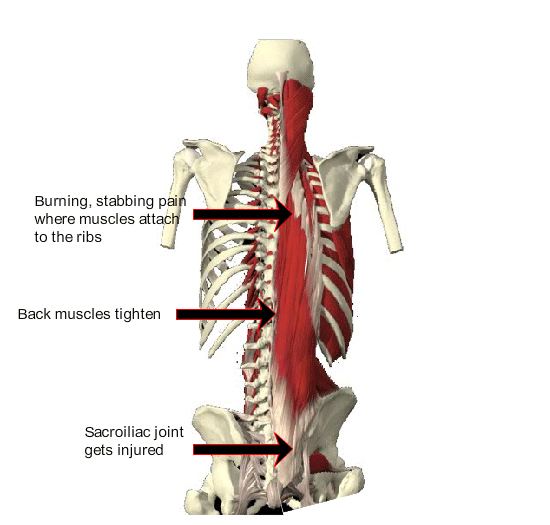 Mid + Low Back - North Oakland Chiropractic Clinic